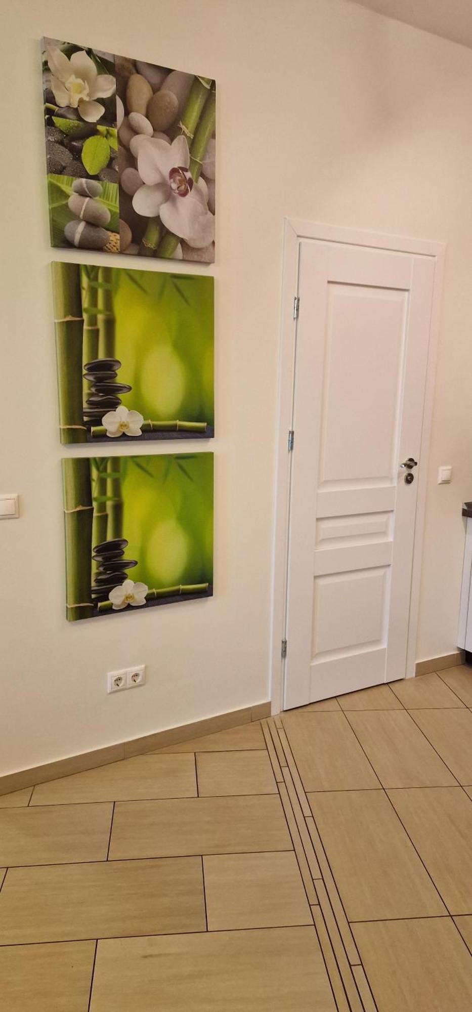 Palanga Apartaments - Mickeviciaus 8 المظهر الخارجي الصورة